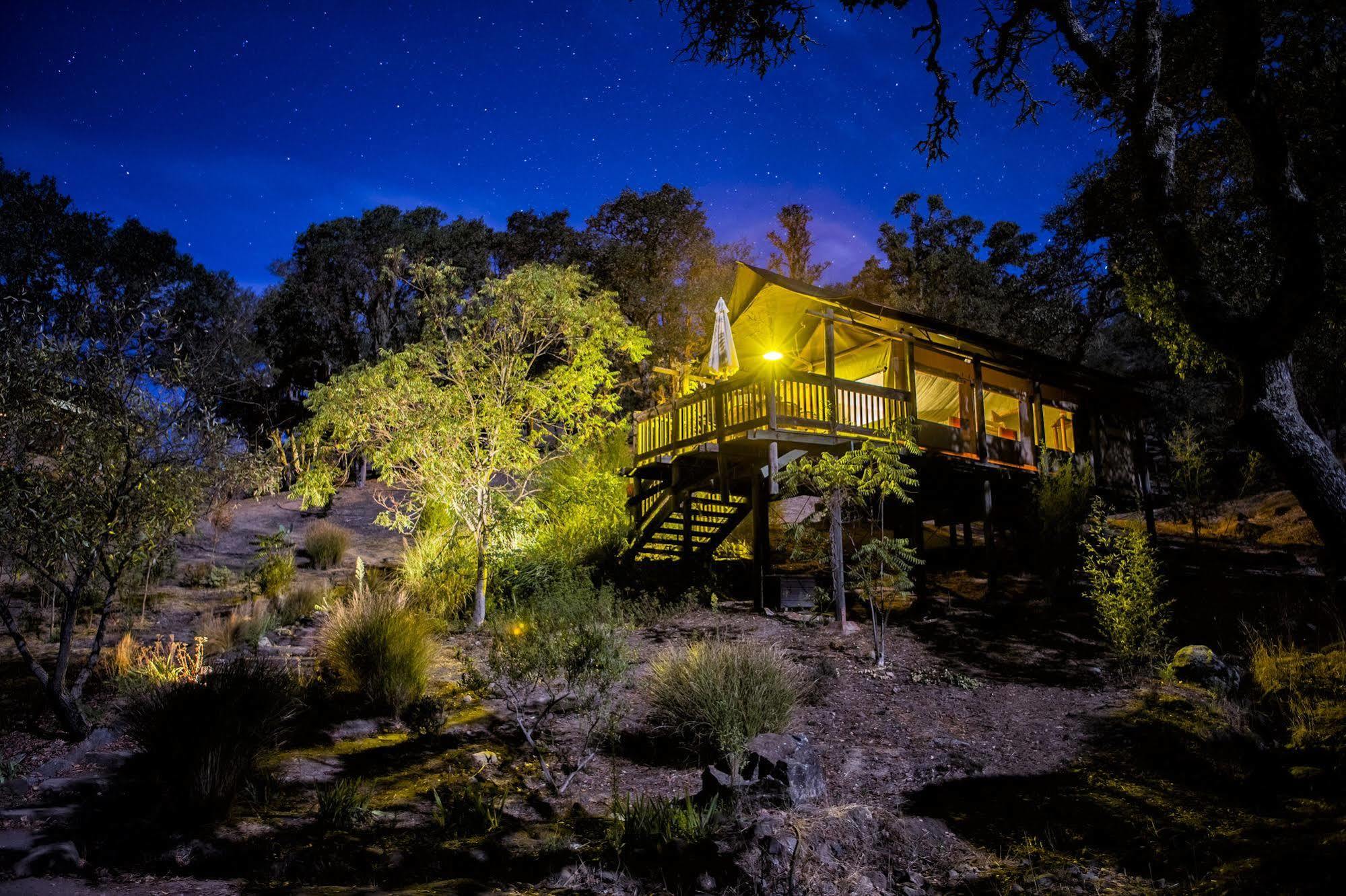 فندق Safari West Mark West Springs المظهر الخارجي الصورة