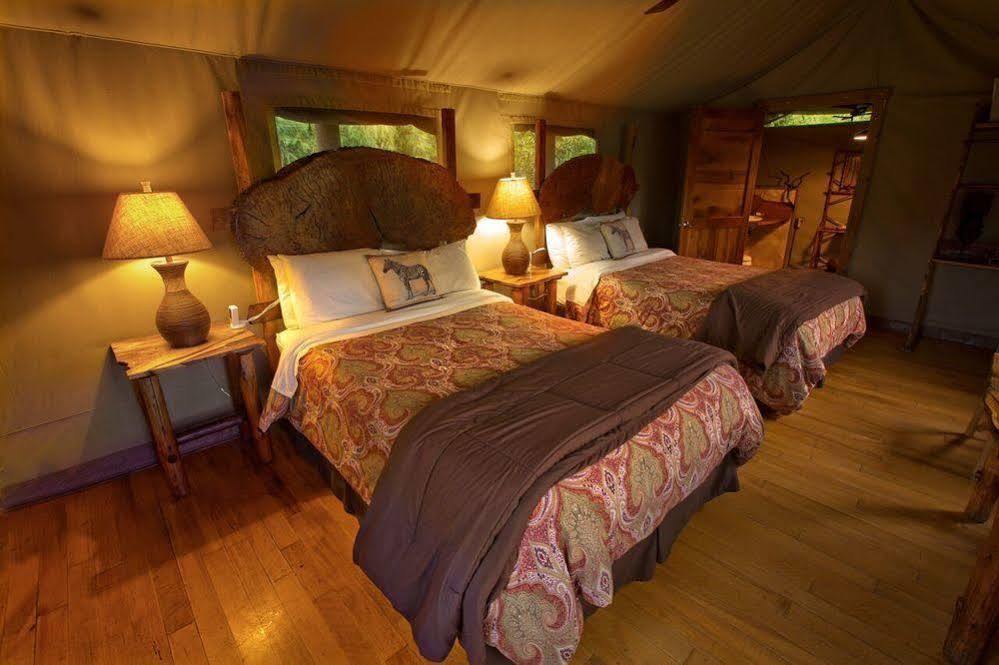 فندق Safari West Mark West Springs المظهر الخارجي الصورة