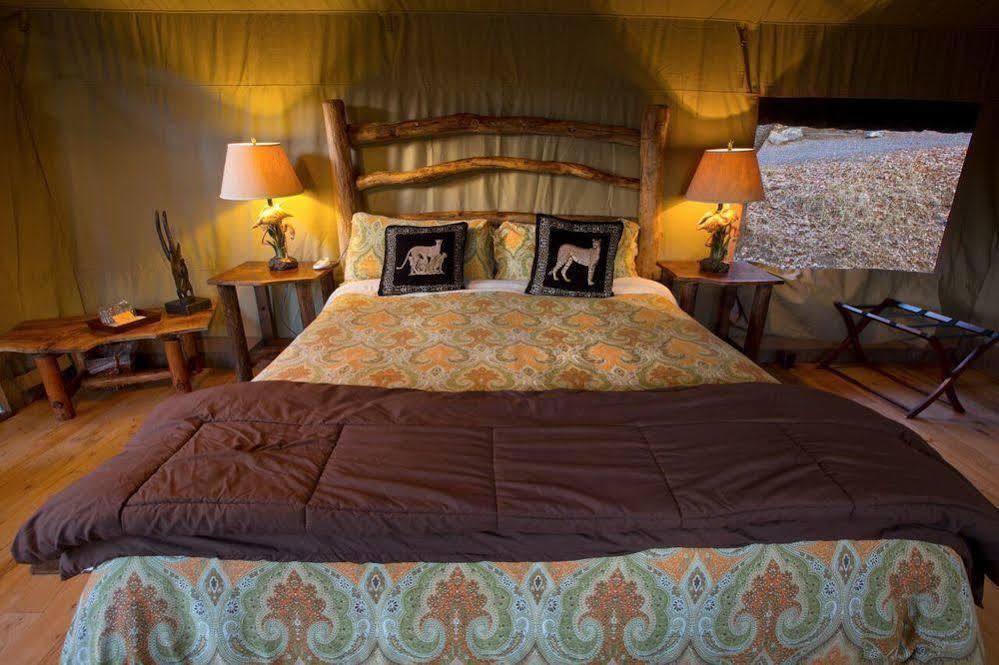 فندق Safari West Mark West Springs المظهر الخارجي الصورة